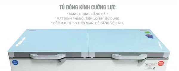 Tủ đông Sanaky VH-2599W2KD 250 lít