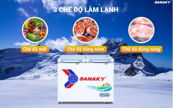 Tủ đông Sanaky VH-2899A2KD 280 lít