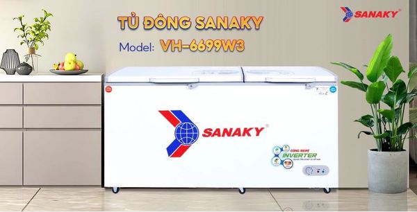 Tủ đông Inverter Sanaky VH-6699W3 660 lít