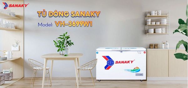 Tủ đông Sanaky VH-3699W1 360 lít