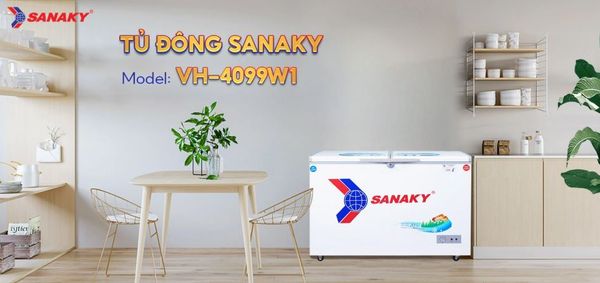 Tủ đông Sanaky VH-4099W1 400 lít
