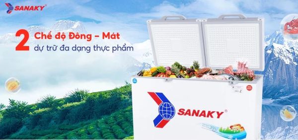 Tủ đông Sanaky VH-4099W2KD 400 lít
