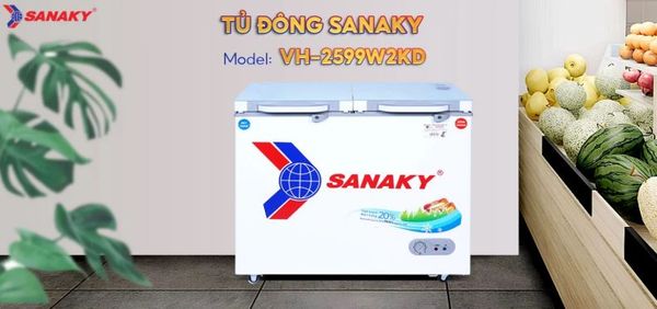 Tủ đông Sanaky VH-2599W2KD 250 lít