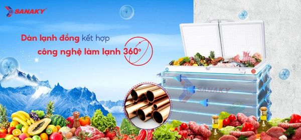 Tủ đông Sanaky VH-4099W1 400 lít