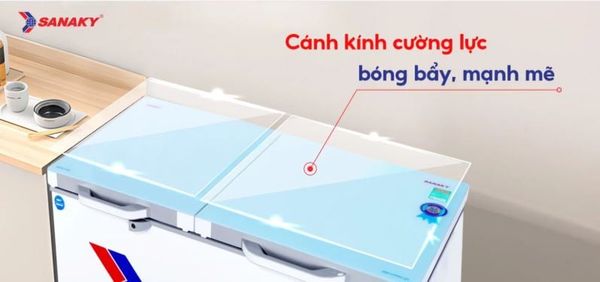 Tủ đông Sanaky VH-4099W2KD 400 lít
