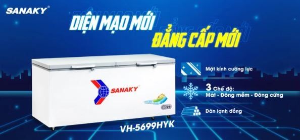 Tủ Đông Sanaky VH-6699W2K 660 lít