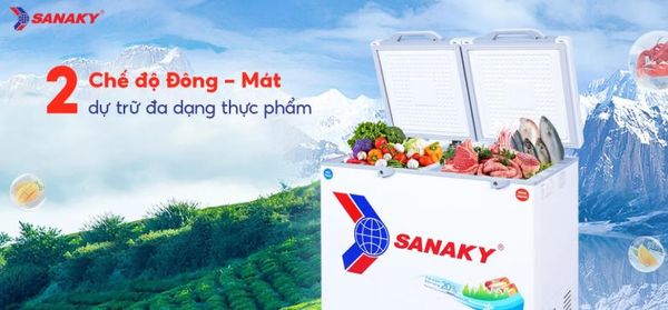 Tủ đông Sanaky VH-2599W2KD 250 lít