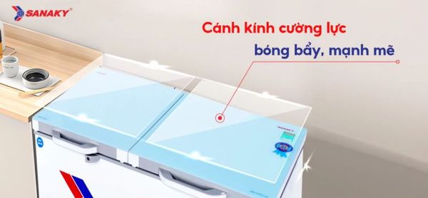 Tủ đông Sanaky VH-2599W2KD 250 lít