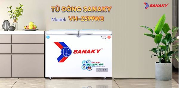 Tủ Đông Sanaky Inverter VH-2599W3 250 lít