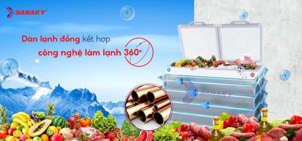 Tủ đông Sanaky VH-4099W2KD 400 lít
