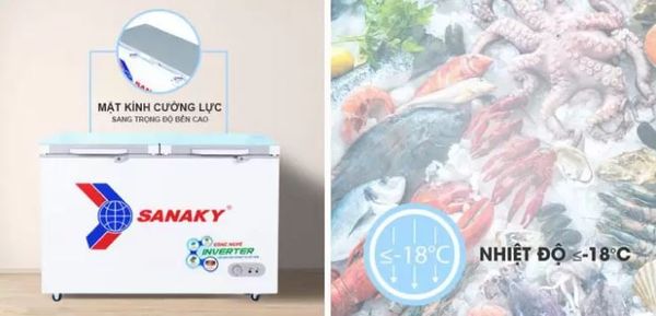 Tủ đông Sanaky Inverter VH-2599A4KD 250 lít