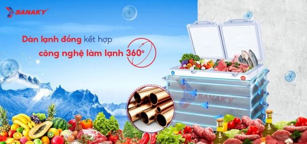 Tủ đông Sanaky VH-2599W2KD 250 lít