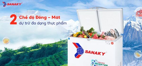 Tủ Đông Sanaky Inverter VH-2599W3 250 lít