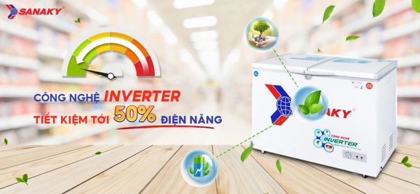 Tủ Đông Sanaky Inverter VH-2599W3 250 lít