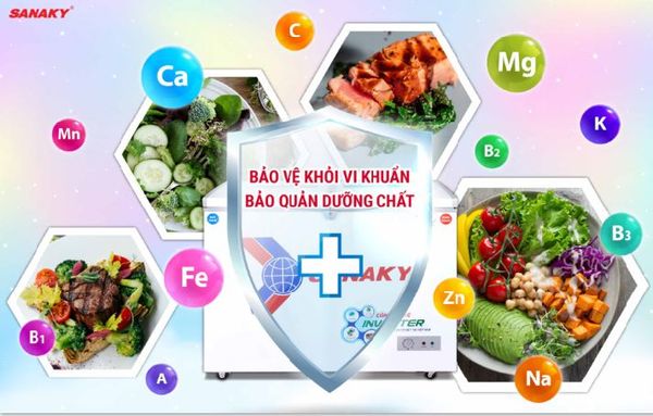 Tủ đông Inverter Sanaky VH-3699W3 360 lít
