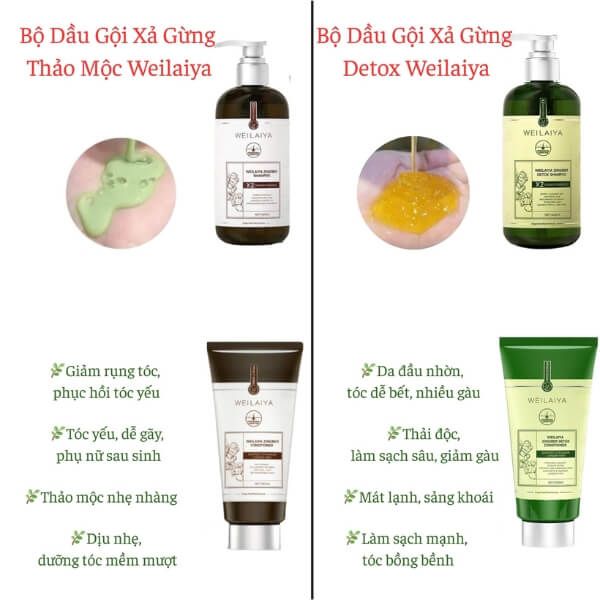 Chi tiết 2 Bộ Sản Phẩm gừng weilaiya