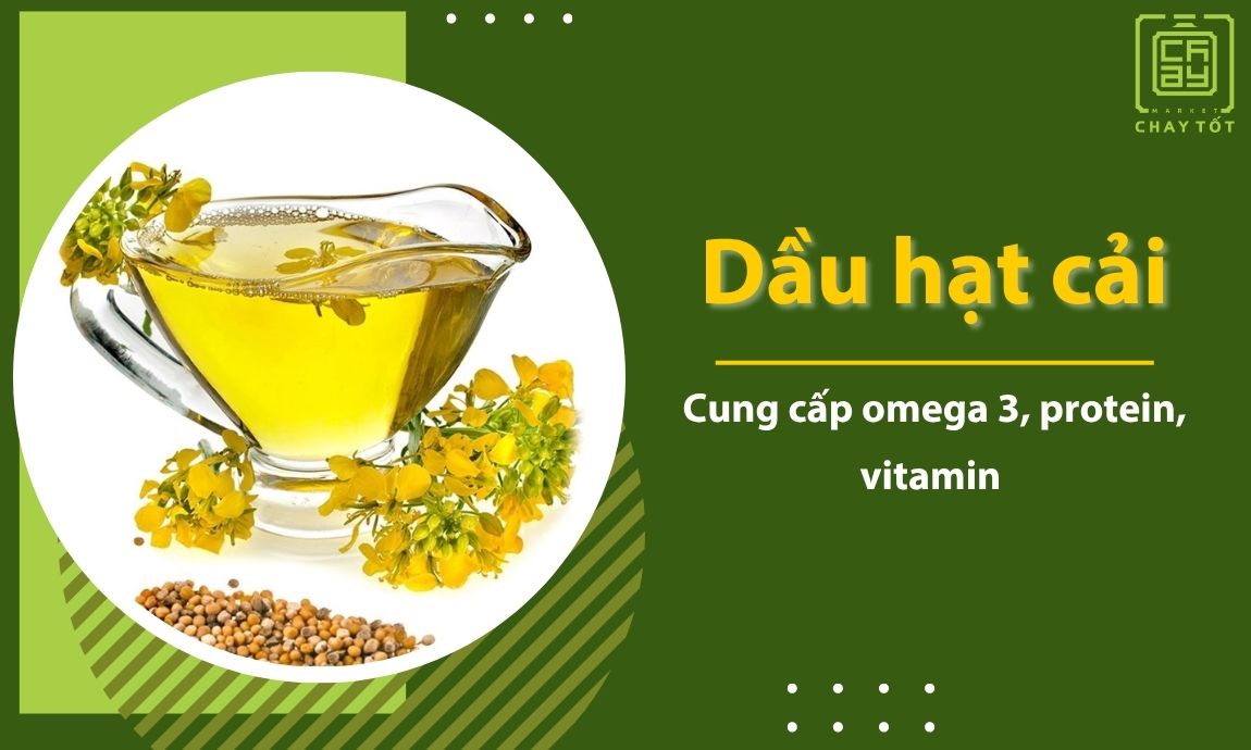 Dầu hạt cải bổ sung omega 3 ALA và các vitamin khác hỗ trợ tim mạch