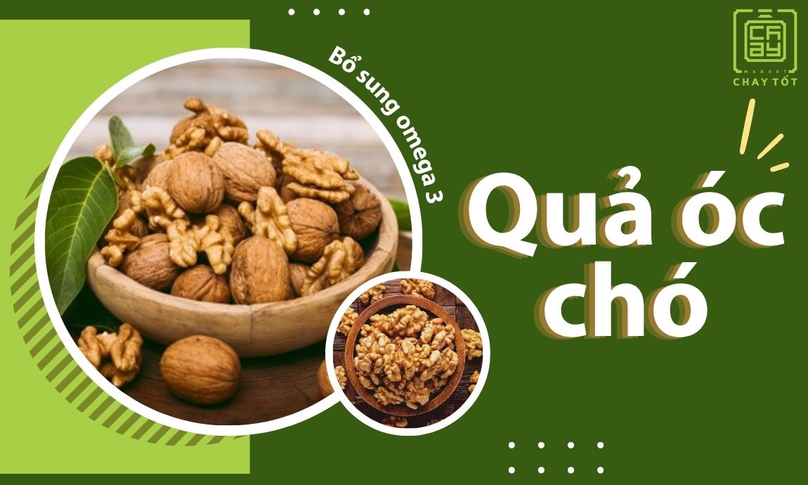 Qủa óc chó có lượng omega 3 thực vật dồi dào và dưỡng chất phong phú