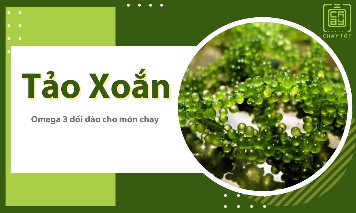 Tảo xoắn nguồn thực phẩm chay giàu omega 3