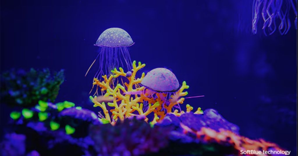 Chế độ LowBlue và công nghệ SoftBlue trên màn hình máy tính phillips giúp bảo vệ mắt khi nhìn lâu