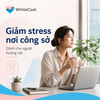 Giảm stress nơi công sở: 7 cách bảo vệ năng lượng dành cho người hướng nội