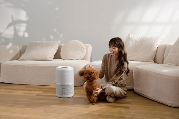 Vì sao máy lọc không khí Levoit là món quà Tết 2026 thiết thực cho sức khỏe cả nhà?