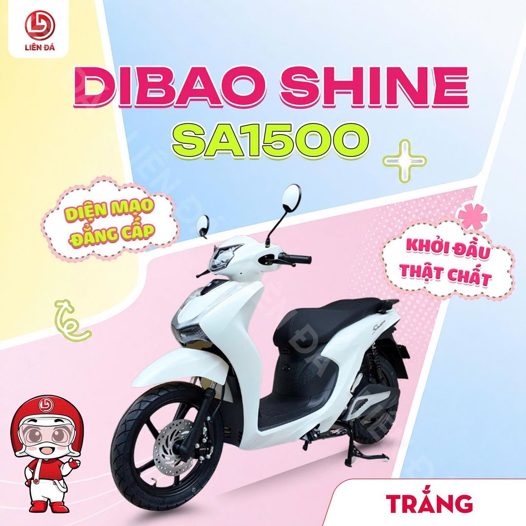 DIBAO SHINE