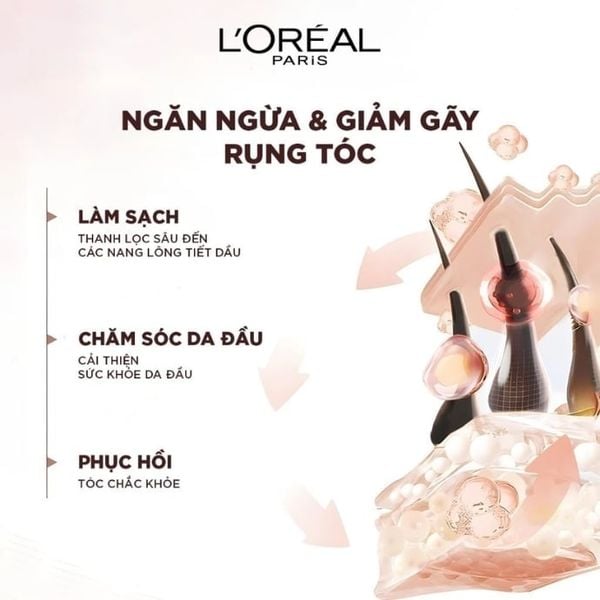 Dầu Gội Giảm Rụng Tóc Loreal Paris Full Resist Purifying Shampoo