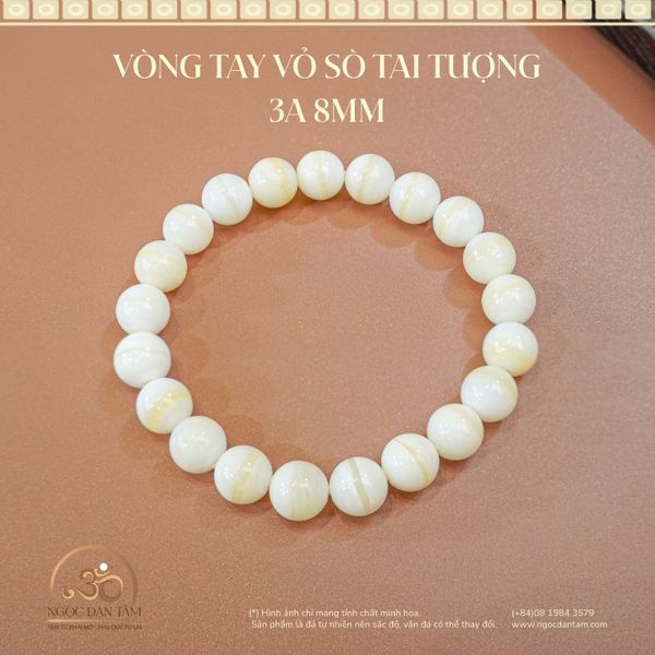 vòng tay Vỏ sò tai tượng 3A 8mm