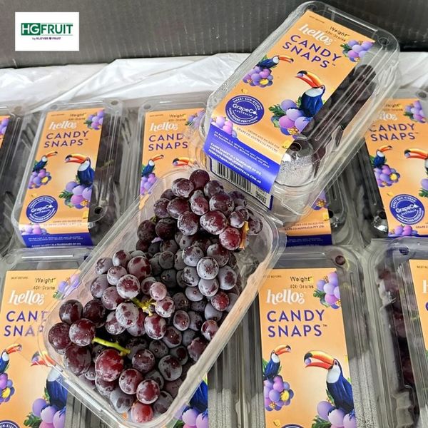 Nho kẹo Candy Snaps Úc