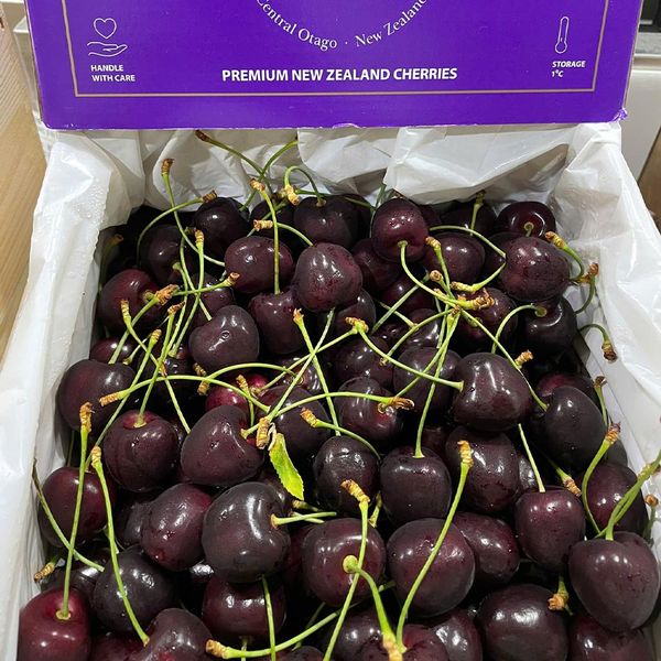 Cherry Staccato