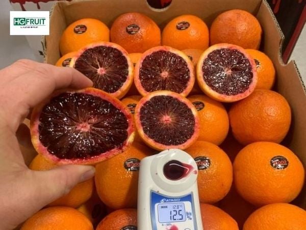Cam đỏ Úc có độ ngọt từ 13 độ brix