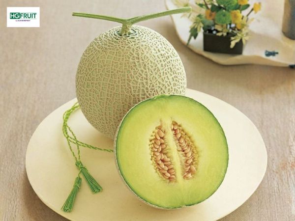 Hộp quà dưa Fuji Nhật Bản