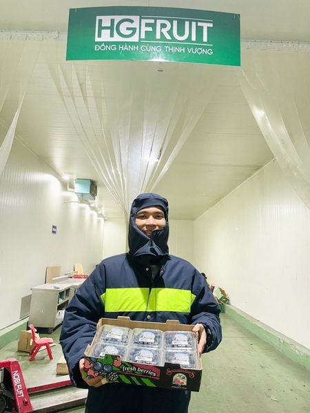 Kho trái cây bảo quản hàng nhập khẩu đạt chuẩn