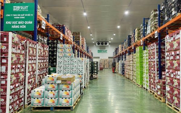 Đơn vị chuyên cung cấp trái cây sạch cho trường học