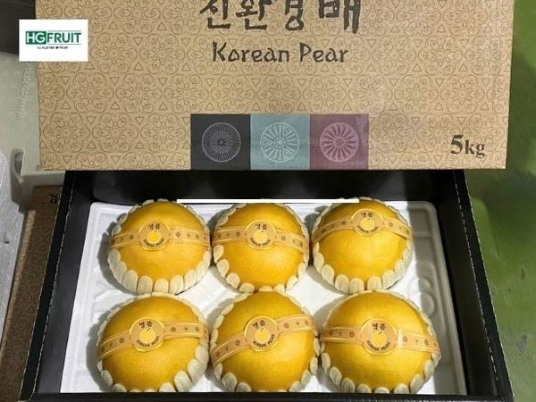 Lê Hàn Quốc size 6 thùng 5kg, quả trên 800g.