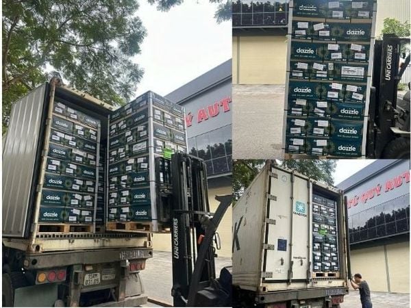 Cont táo Dazzle tại Hoàng Giang Fruit