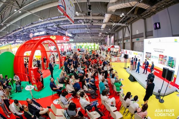Không gian hội thảo chuyên sâu tại Asia Fruit Logistica 2026