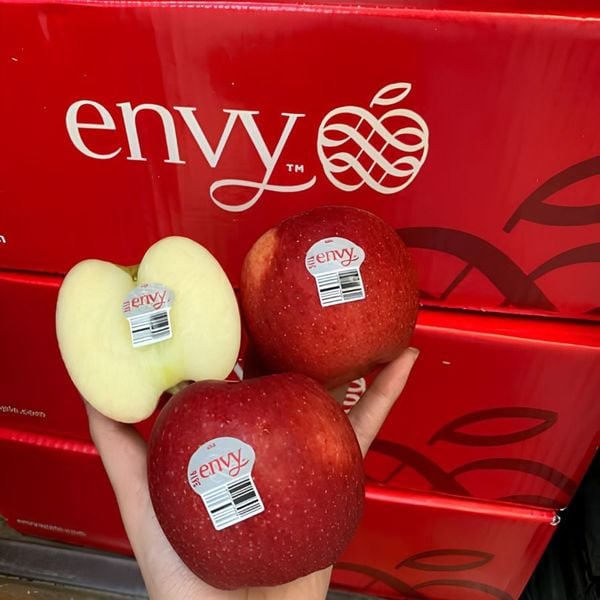 Táo Envy Mỹ