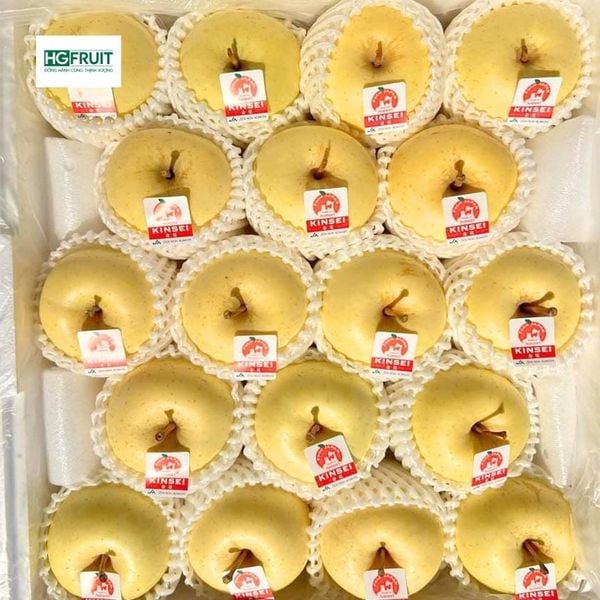 Táo Vàng Nhật Bản