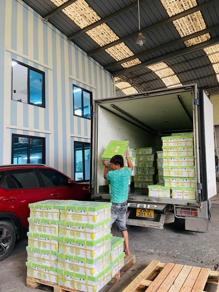 Lựa chọn đơn vị kho trái cây uy tín cho cửa hàng