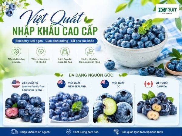 việt quất