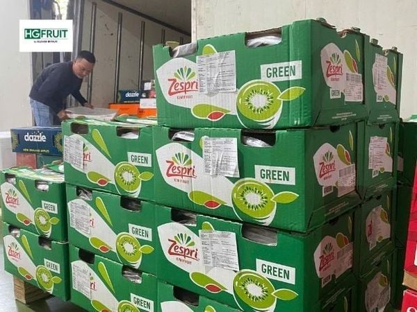 Tình hình thị trường trái cây hôm nay tại kho Hoàng Giang Fruit