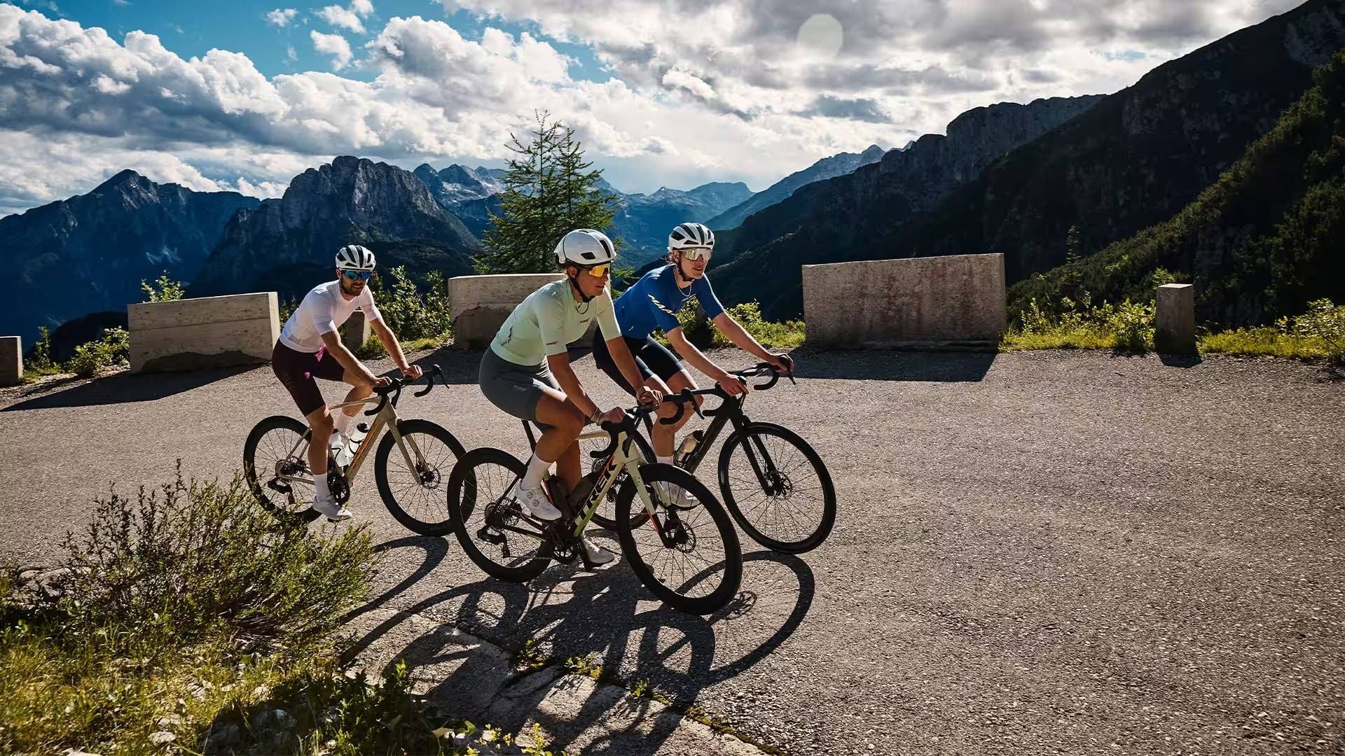 Domane Carbon