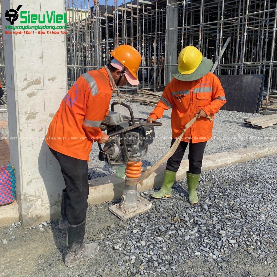 Đầm cóc cho Mikasa