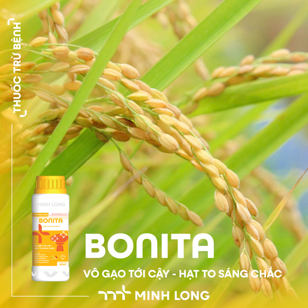 BONITA