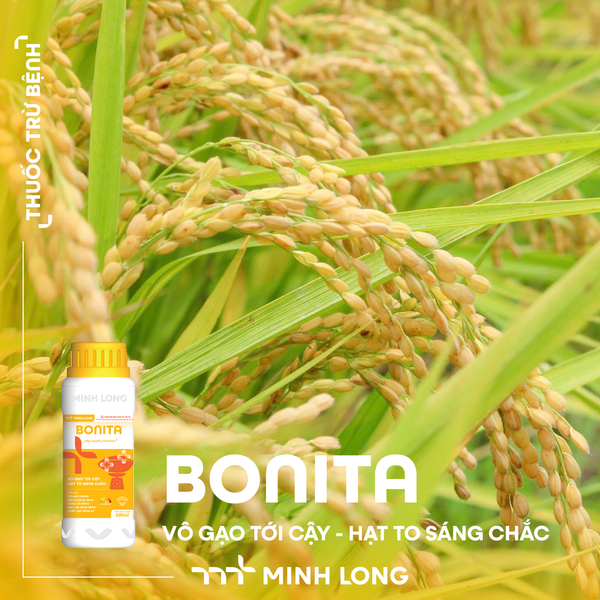 BONITA