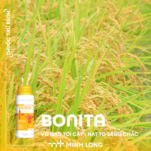 BONITA