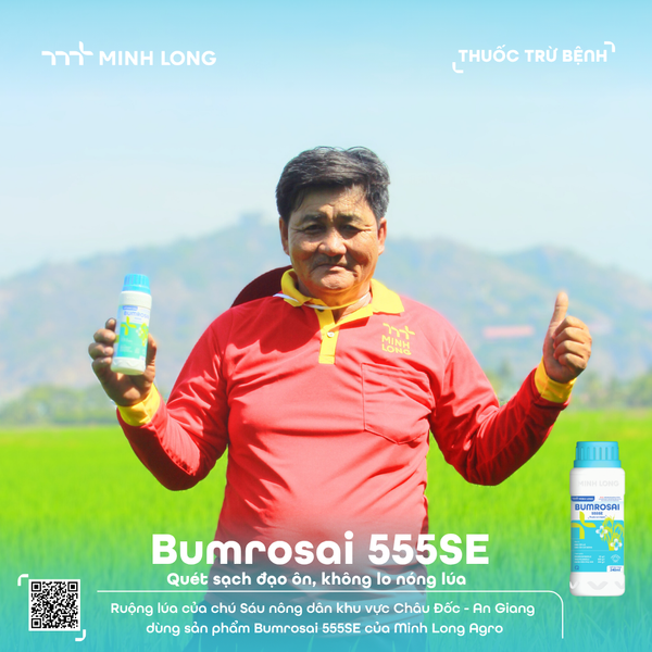 BUMROSAI 555SE
