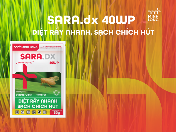 SARA.dx 40WP